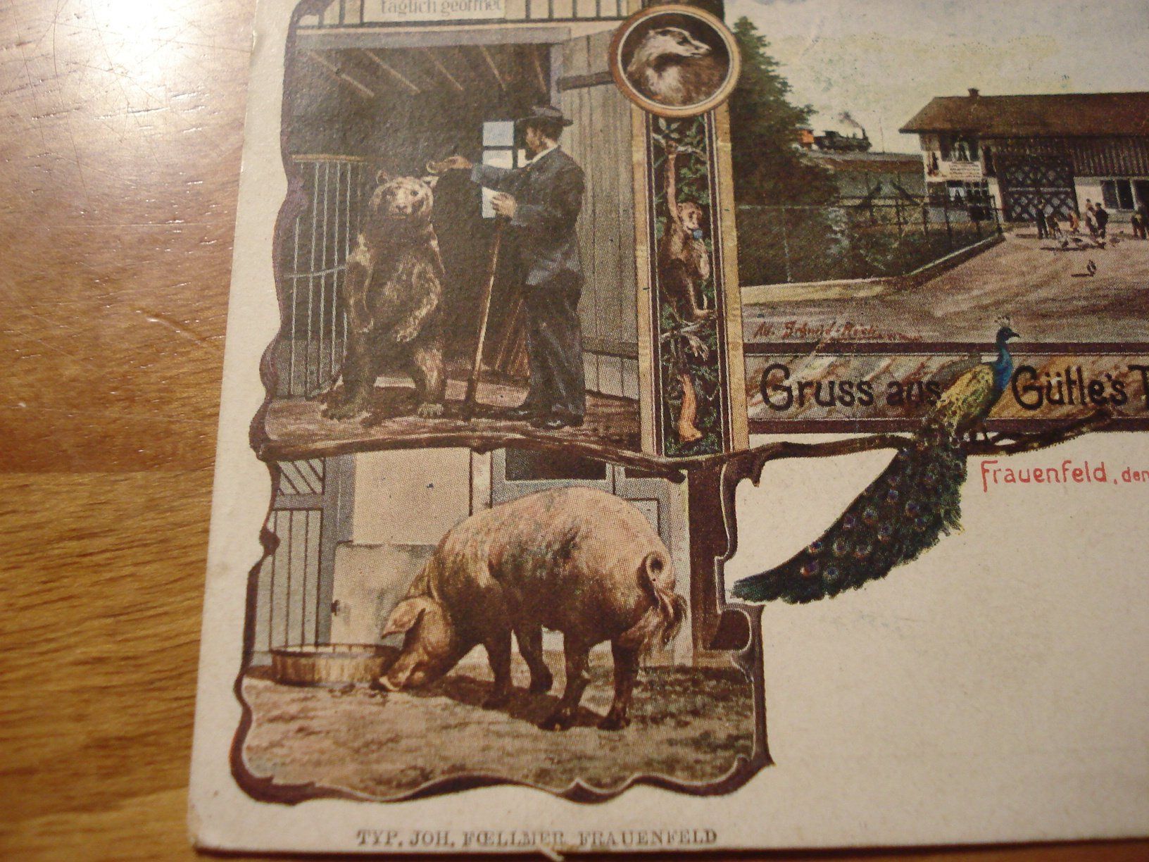 Cartoline postali: Frauenfeld - Gütle's Thiergarten um 1903, farbig – Usato da Niederwil AG venduto da morostahu 1
