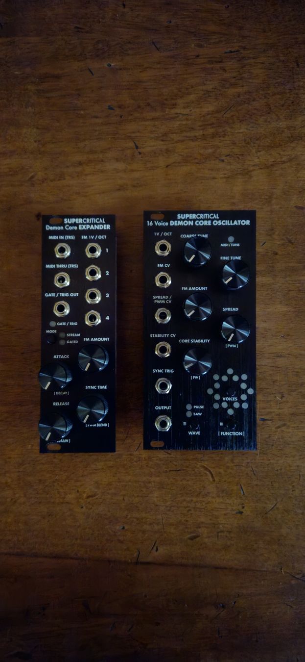 Musikinstrumente: Supercritical Demon Core + Expander Eurorack oscillator – Neu (gemäss Beschreibung) aus Vulliens von irauchimax