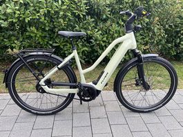 Flyer e-Bike HS