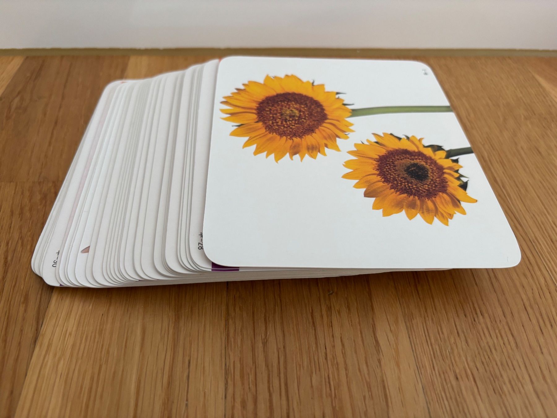 Libri: Learning Chinese 40 cards (2-6 yrs) – Nuovo (secondo la descrizione) da Würenlos venduto da sue_wp8k 2