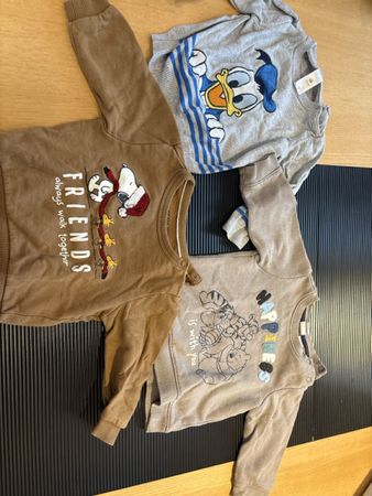 3 Pullover Disney Peanuts H&M Grösse 68 bis 74 gebraucht