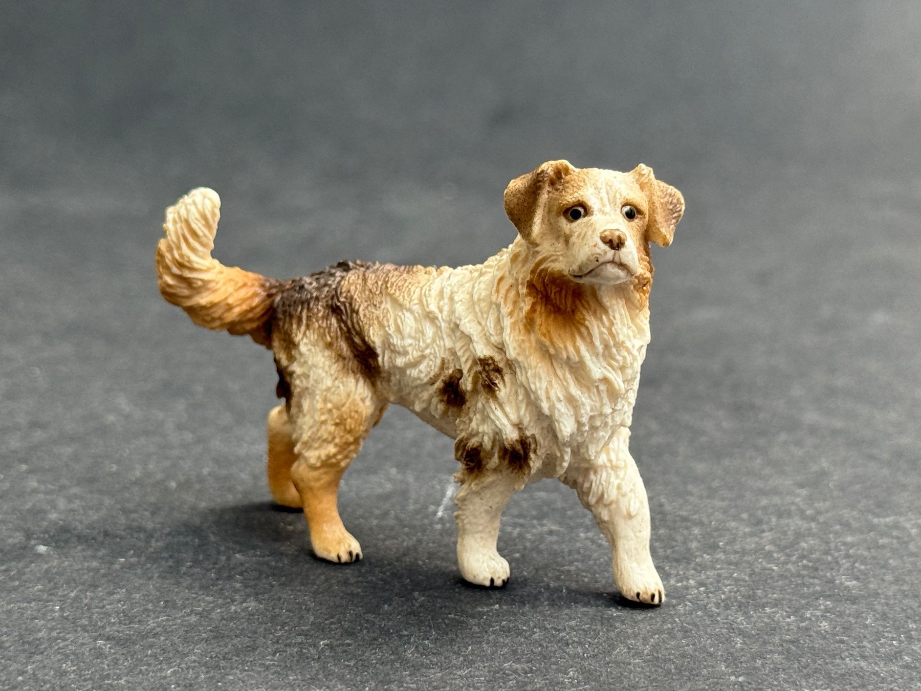 Schleich Figuren: Schleich Australian Shepherd Hund Hunde – Gebraucht aus Ennetbaden von mapa05 2
