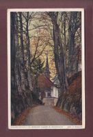 KÜSSNACHT - Hohlen Gasse - Tellskapelle
