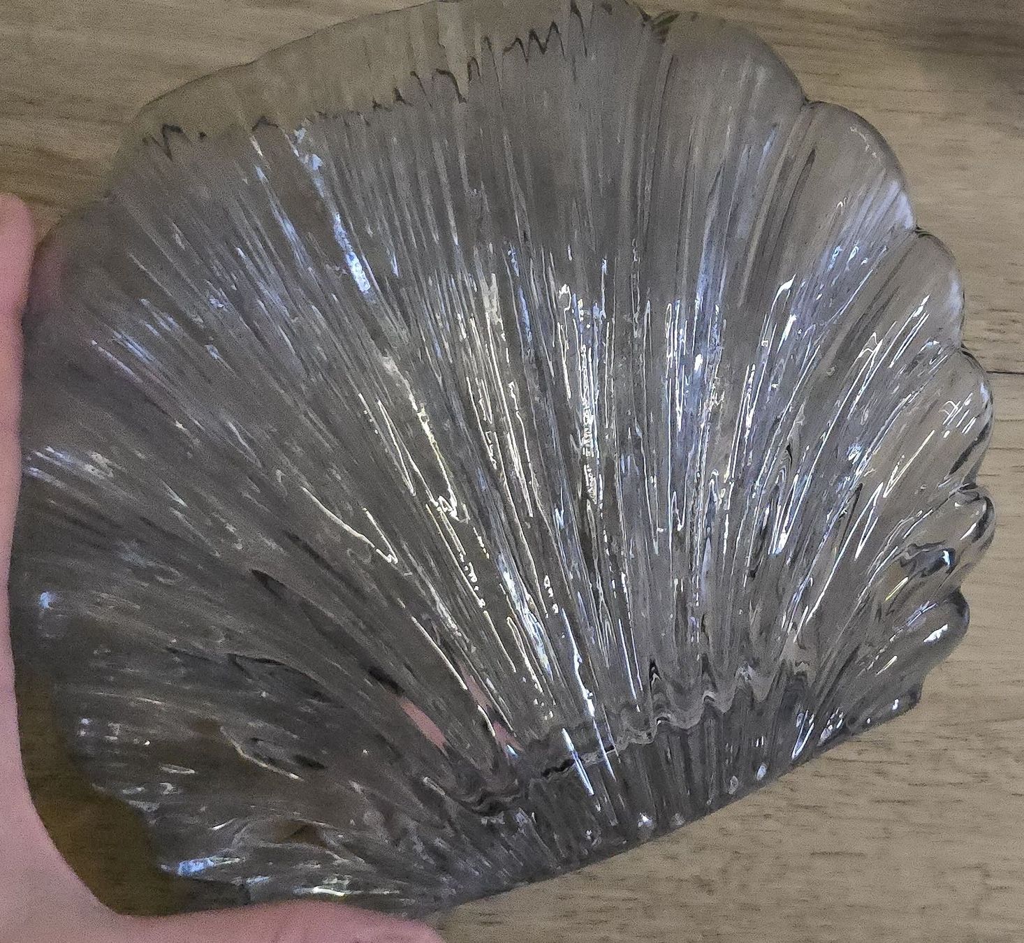 Vasi & Recipienti: Muschel Vase Neu – Nuovo e nell'imballaggio originale da Matzingen venduto da FashionLady2 1