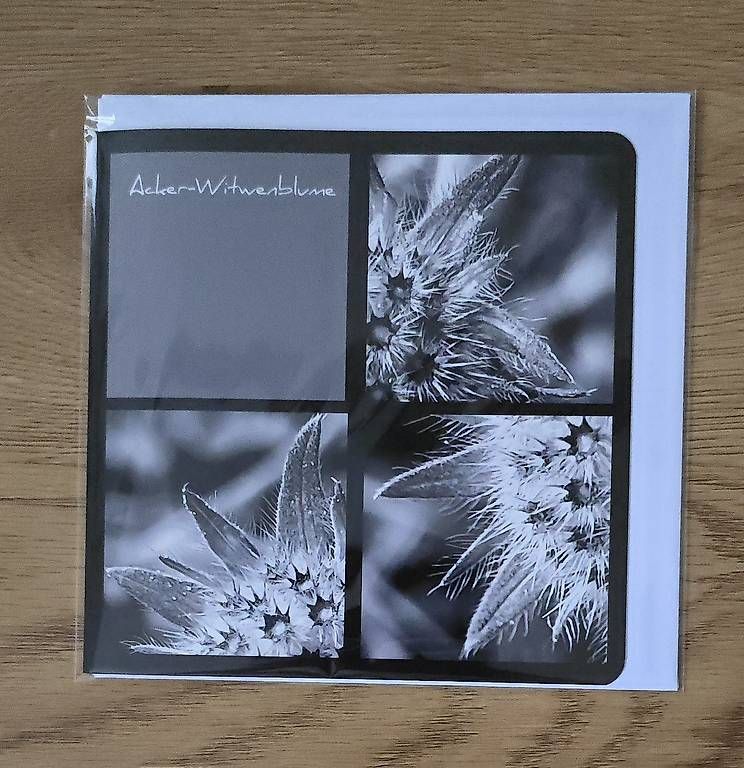 CDs: Collagekarte Acker-Witwenblume – Neuf avec emballage d'origine à Chur par Frei3912