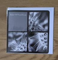 Collagekarte Acker-Witwenblume