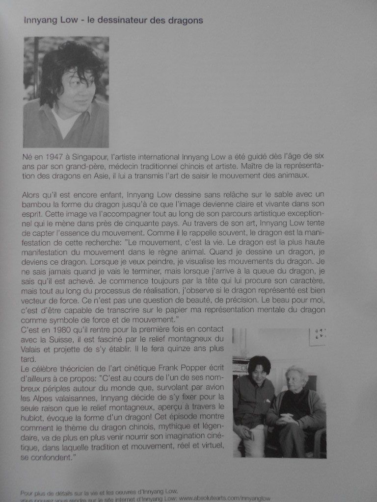 Fumetti: DRAGONS CHINOIS  PAR INNYANG – Usato da Bex venduto da Giorgiob 1