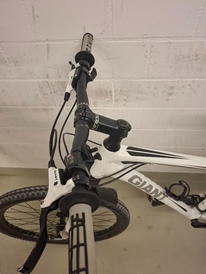 Giant Biciclette: MTB Giant – Usato da Abtwil SG venduto da A.M.S.1.9.8.1 2