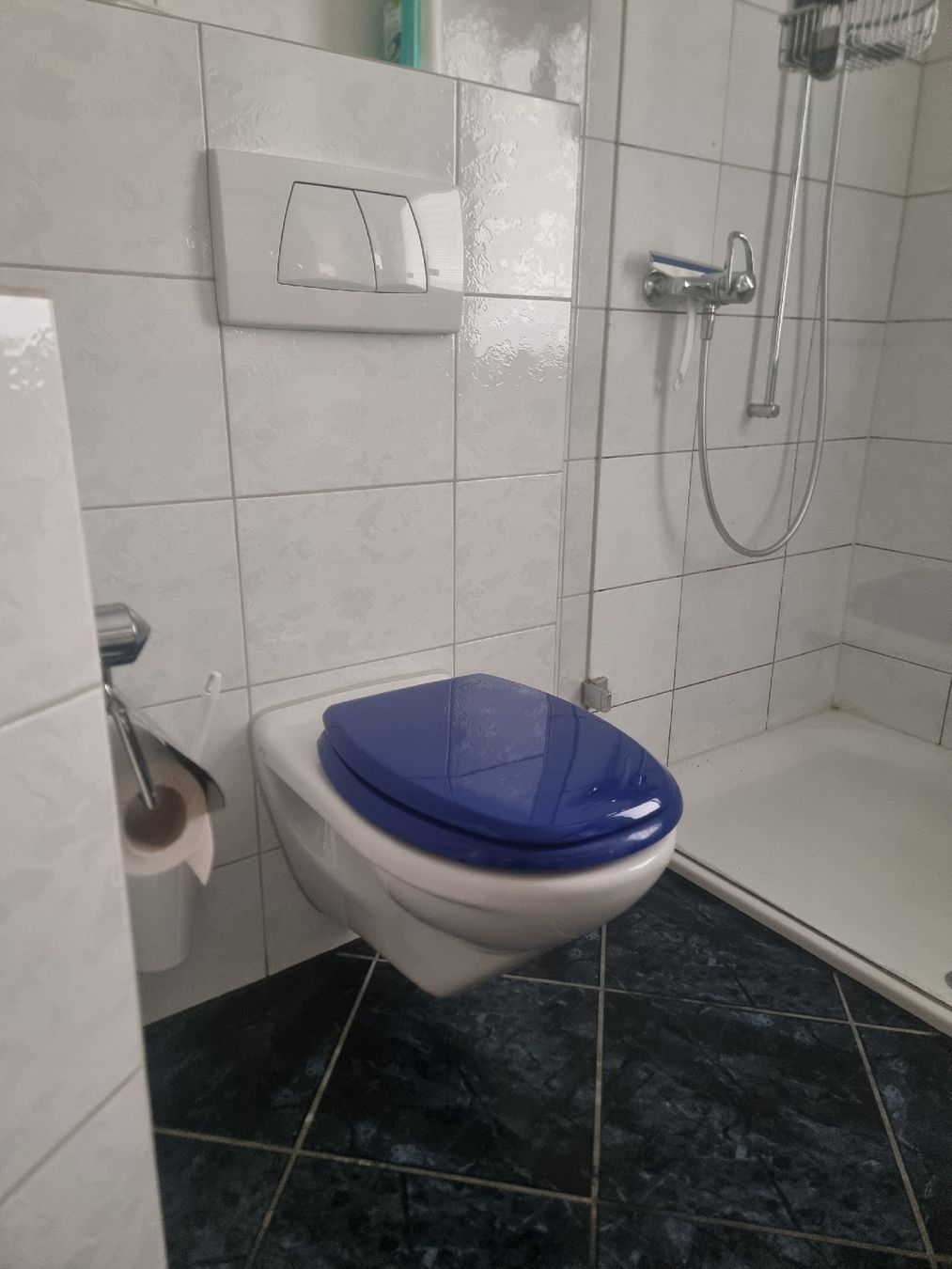 WC: Wand-WC weiss mit blauer Brille gebraucht – Usato da Sempach venduto da Severin.Roth