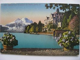 AK  Schloss Hotel Hertenstein u. Pilatus
