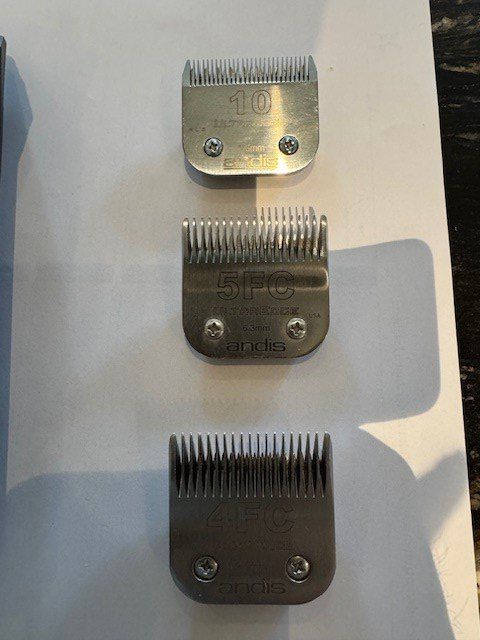 Prodotti per la cura & articoli per la pulizia: Top AGC 2 Speed Haartrimmer f Hunde / ideal für dickes Haar – Usato da Aathal-Seegräben venduto da Spi-Ro 3