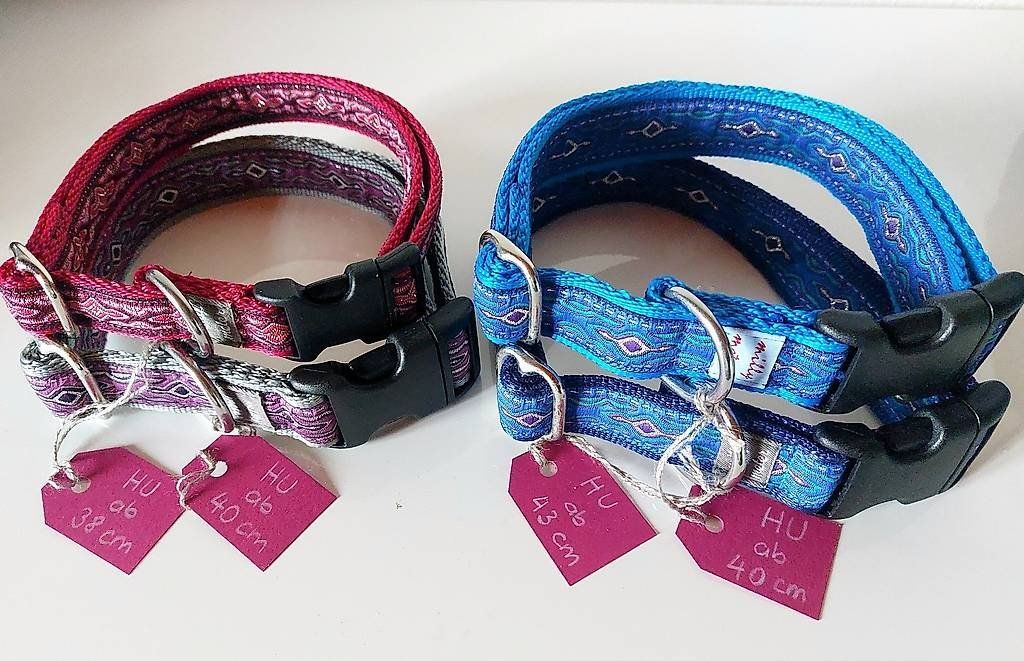 Leine & Halsband: schickes Hundehalsband – Neu (gemäss Beschreibung) aus Fehraltorf von MilliVanilli