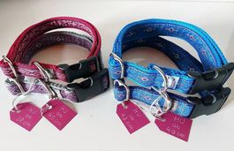 schickes Hundehalsband