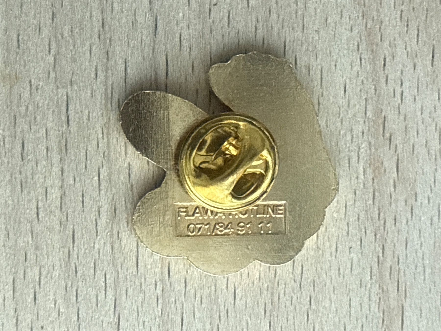Placchette & Badge: Pin  FLWA DEODFRESH – Usato da Glattbrugg venduto da Schweigmatt 1