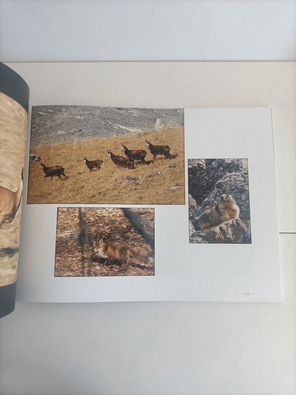 Livres: Carnets de ballades / Pascal Harwig / Hartwig 2016 – D'occasion à crans montana par AB3963 4