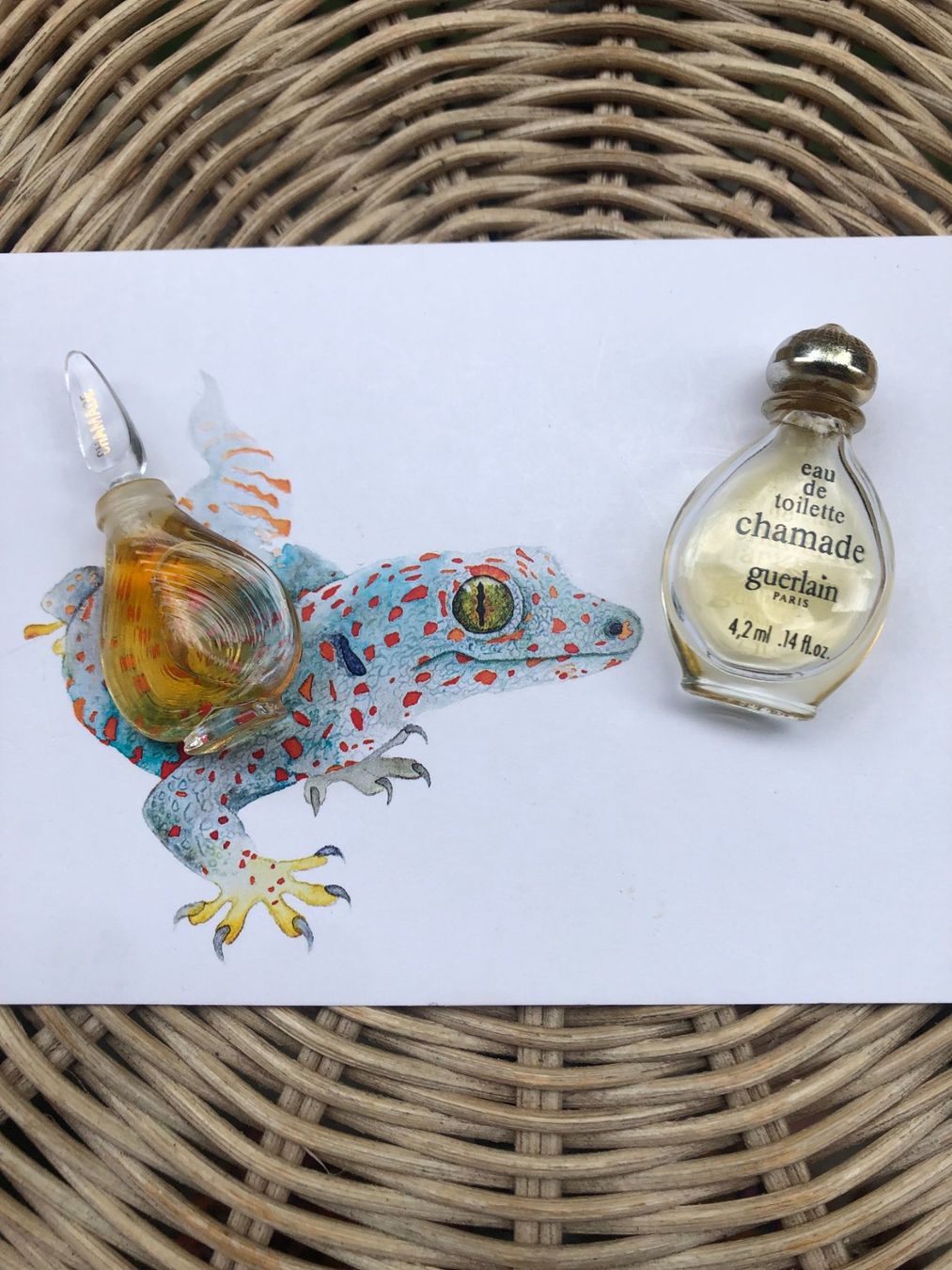 Guerlain Profumi & Eau de Toilette: GUERLAIN, Chamade, miniatures – Usato da Lausanne venduto da Na2718