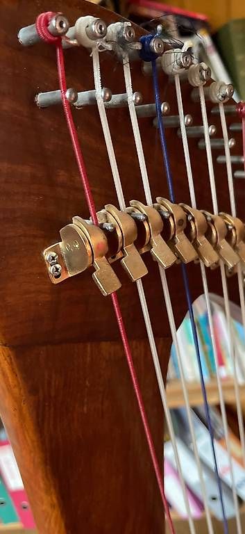 Strumenti musicali: Wunderbare Harfe – Usato da Meiringen venduto da Bignoddy 3