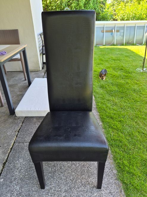 Kare Stühle: Kare Designstühle 6x – Gebraucht aus Weisslingen von claihan 2