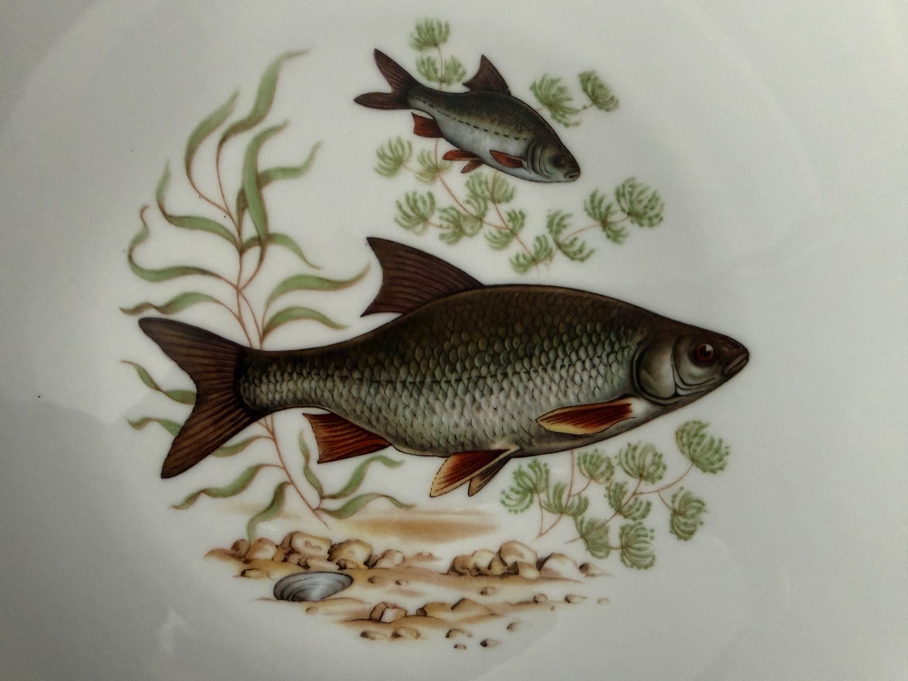 Winterling Geschirrsets: Servizio piatti pesce, 7 pezzi – Gebraucht aus Monte Carasso von Ely67 3