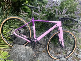 ✨🚴‍♀️ Edelgravel - OTSO Waheela M | Grösse S - 170-180cm 🌿