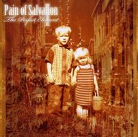 Pain Of Salvation - Perfect Element