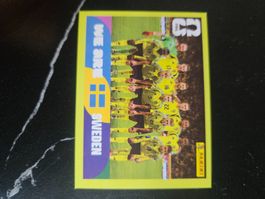 SWE 13