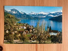 Weggis mit Alpen - AK 1973
