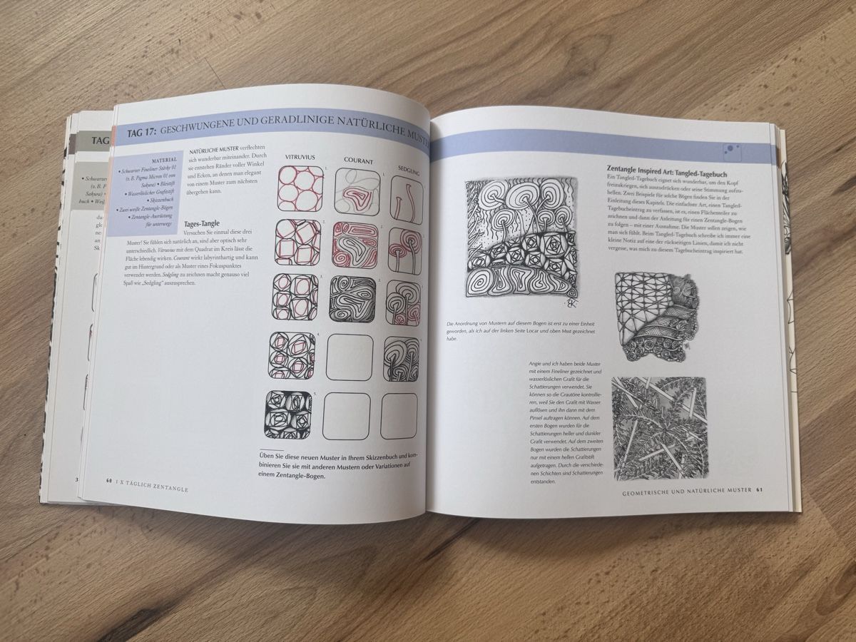 Libri: Buch - Zentangle – Usato da Killwangen venduto da yas_reg0 3