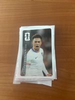  Antonee Robinson Coca Cola Panini Bild