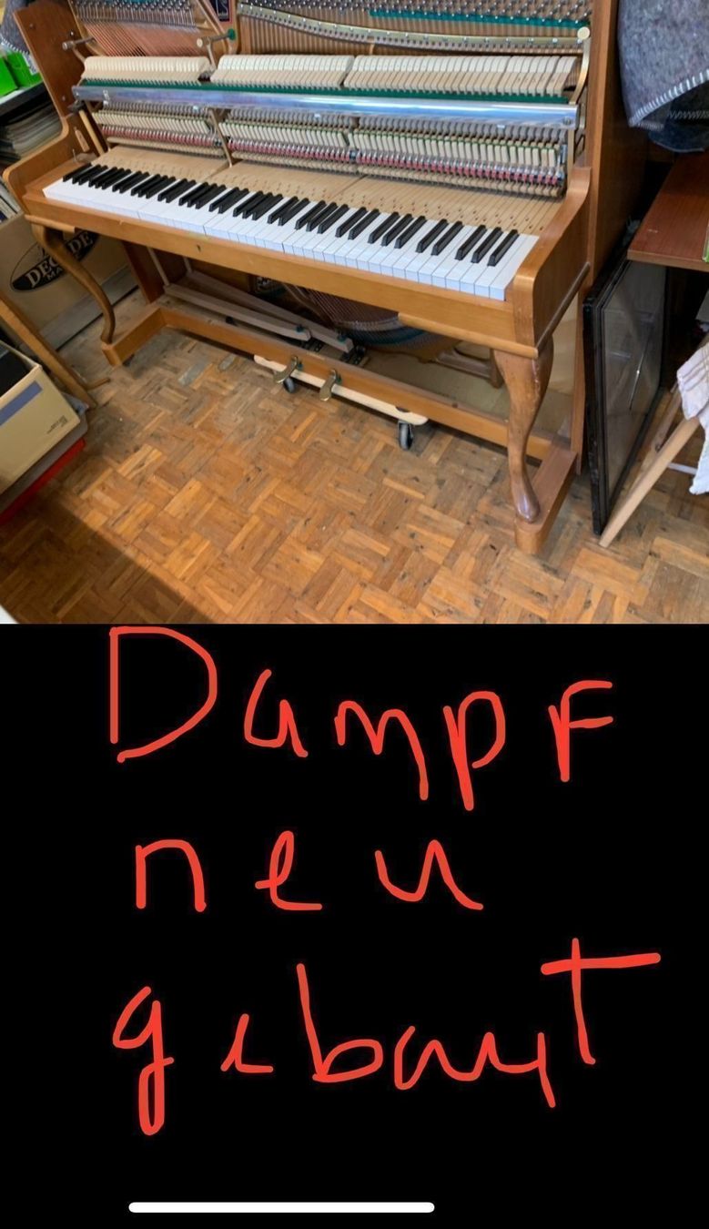Strumenti musicali: Klavier Zimmermann mit extra Dampfen ab Platz – Usato da Grabs venduto da mayram27 3