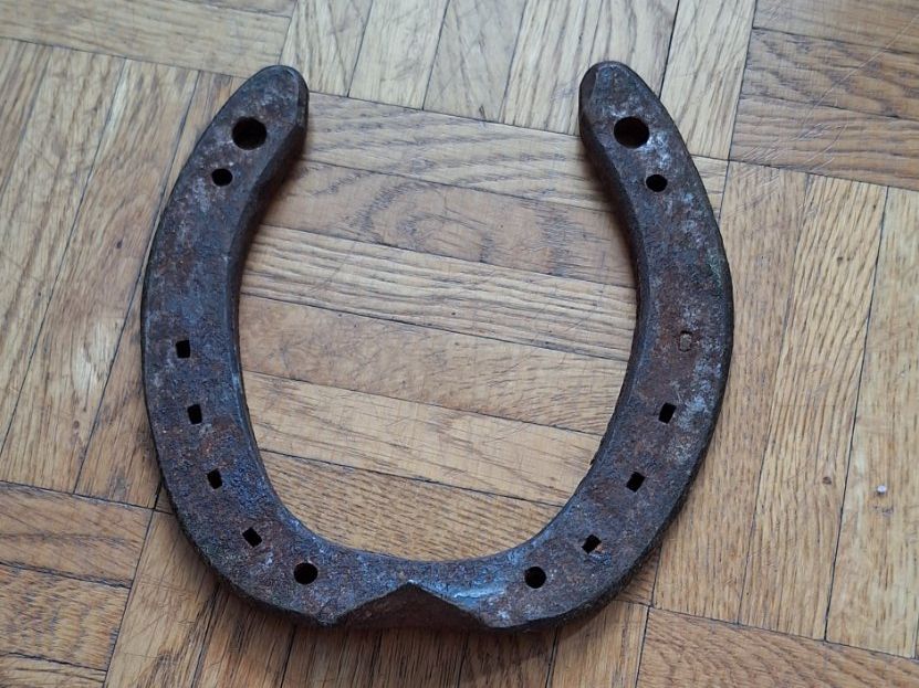 Altro in Accessori per animali: Hufeisen – Usato da Wetzikon ZH venduto da NaWetzi 2