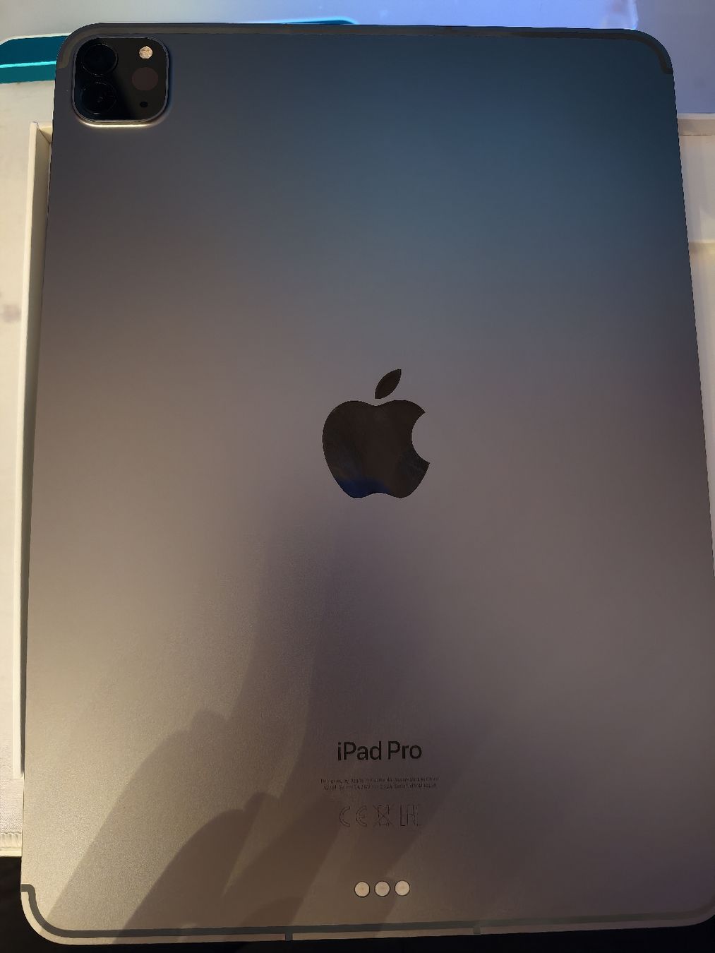 Apple Tablet PC: iPad Pro 4. Gen 11" Wifi + Cellular 256GB – Usato da Luterbach venduto da Fighterlord