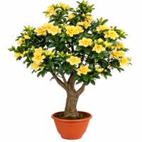 Decoflower Azalea Kunstpflanze im Topf – 110 cm