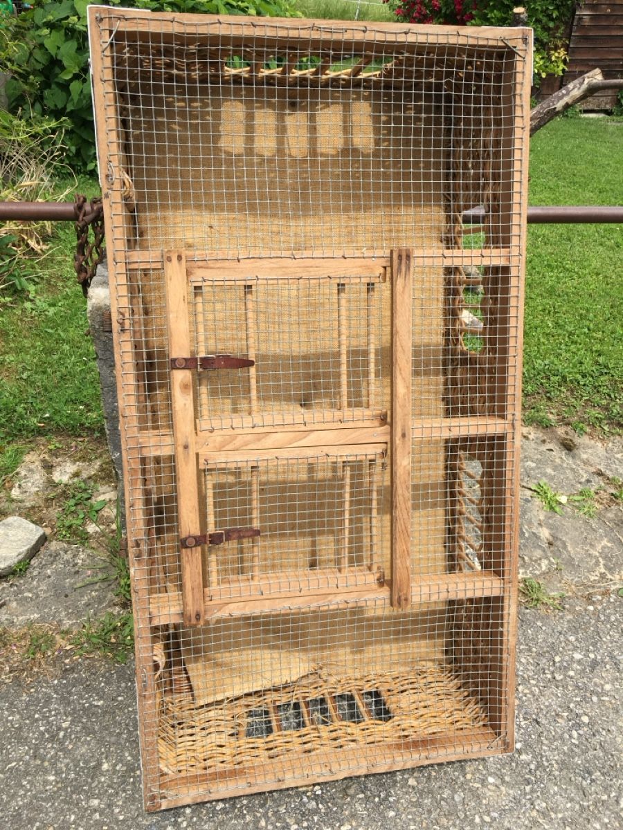 Cucce & Letti: antiker Brieftauben-Transportkorb – Usato da Matzendorf venduto da Mei60 1