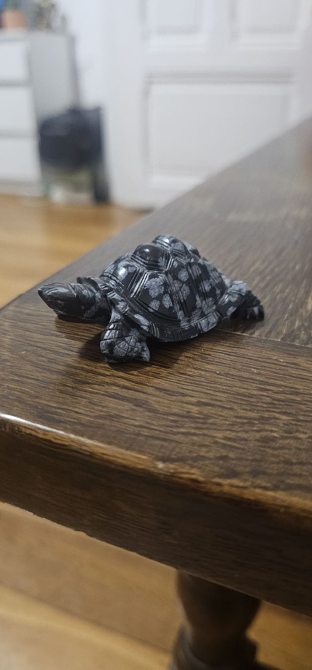 Statuette: Tortue obsidienne vintage – Nuovo e nell'imballaggio originale da Lausanne venduto da Delaquinta88
