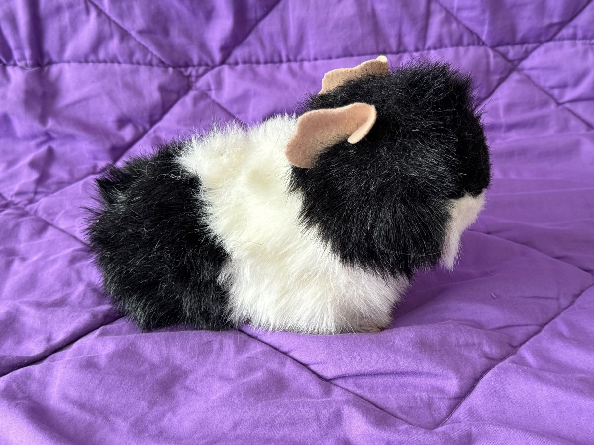 FurReal Giocattoli: FurReal Meerschwein – Usato da Bern venduto da Zeiseli