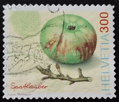 Schweiz 2006