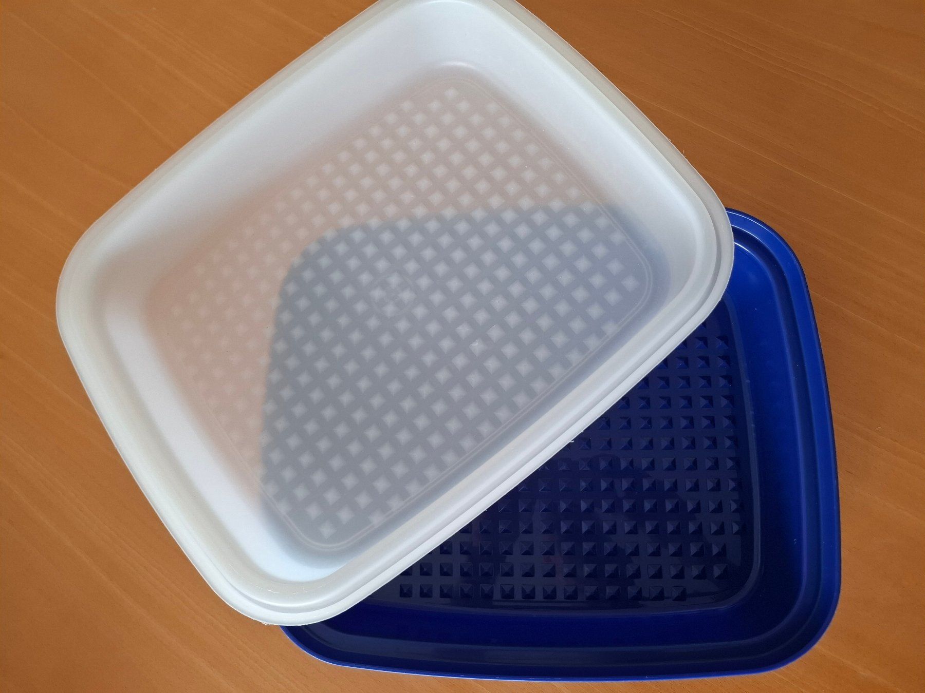 Tupperware Contenitori & Simili: Tupperware Marinierbehälter 2-teilig, blau – Usato da Zürich venduto da Tabula-Rasa-2026