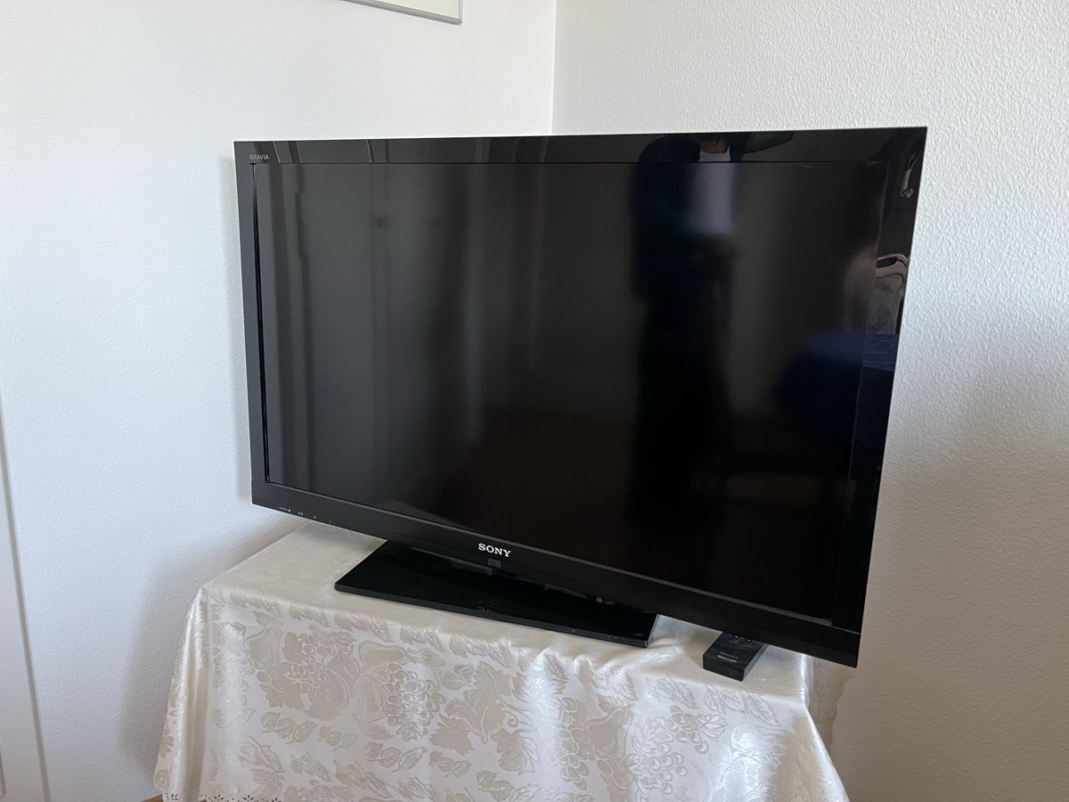 Televisori: Fernseher Sony 40 Zoll – Usato da Bern venduto da leachim 1