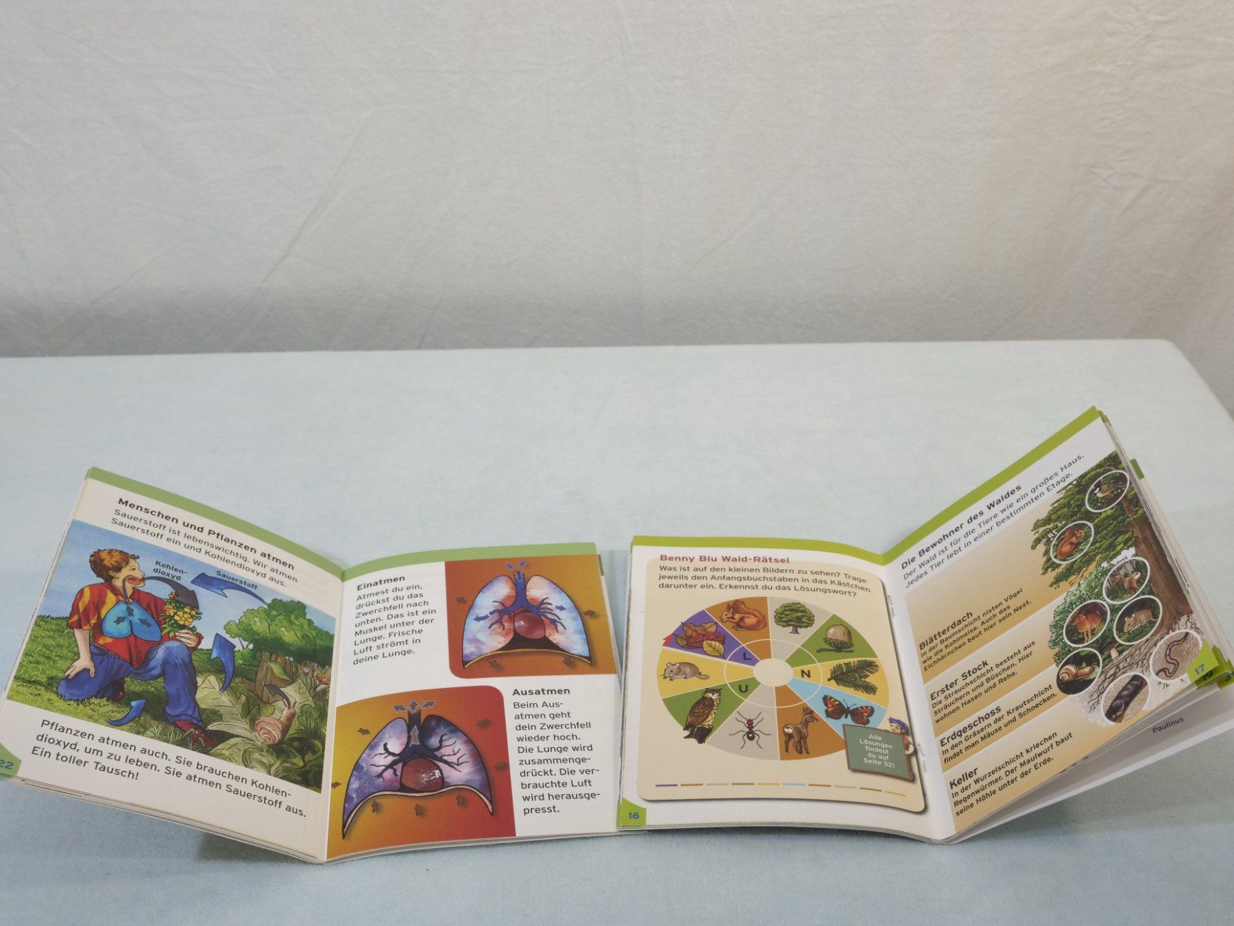 Bücher: Lot:6 verschiedene Büchlein: Benny Blu – Gebraucht aus Lustmühle von Glatisant 3