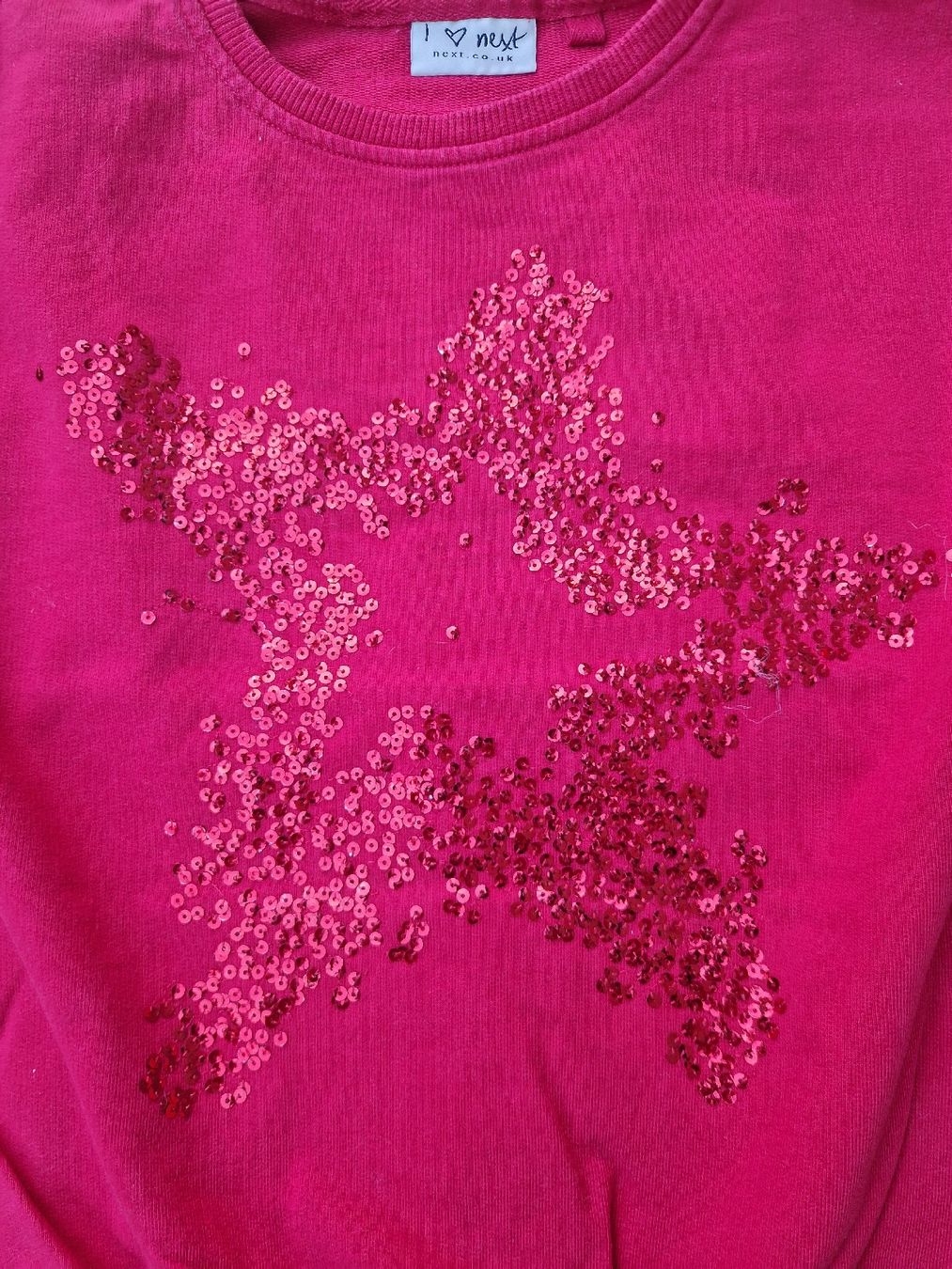 Next Maglioni & Felpe: Next Pailletten-Pullover Gr. 116 (6 J.) – Usato da Muri b. Bern venduto da rol_xtf8 1