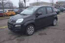 FIAT Panda 1.2 Easy / Pizzaoffen-Kurier
