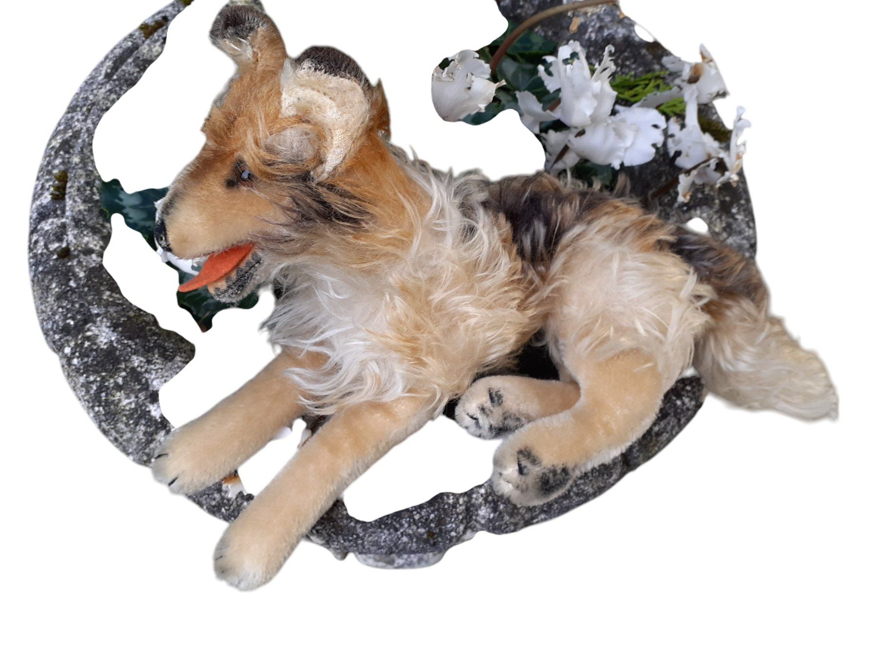 Steiff Giocattoli: Stofftier Steiff Collie antik – Usato da Mörschwil venduto da lindaswunderkiste 3