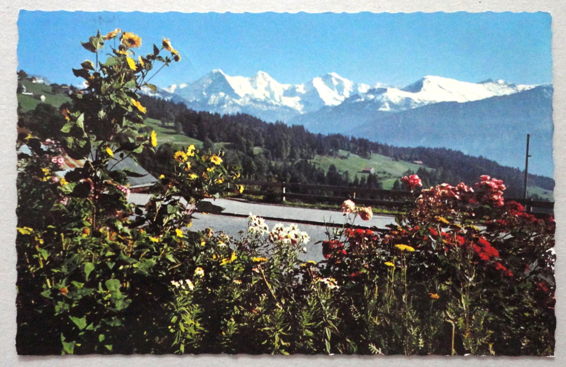 Cartoline postali: Beatenberg, Eiger-Mönch-Jungfrau – Usato da Fétigny venduto da Billy2miny