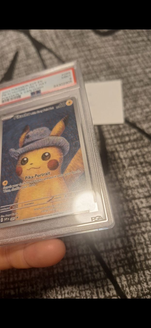 Pokémon Cartes à collectionner: pikachu grey van gigh – Neuf (Voir description) à Wald ZH par J_11 2