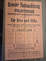 Historisches Plakat Fastnachtsumzug Solothurn Original 1887