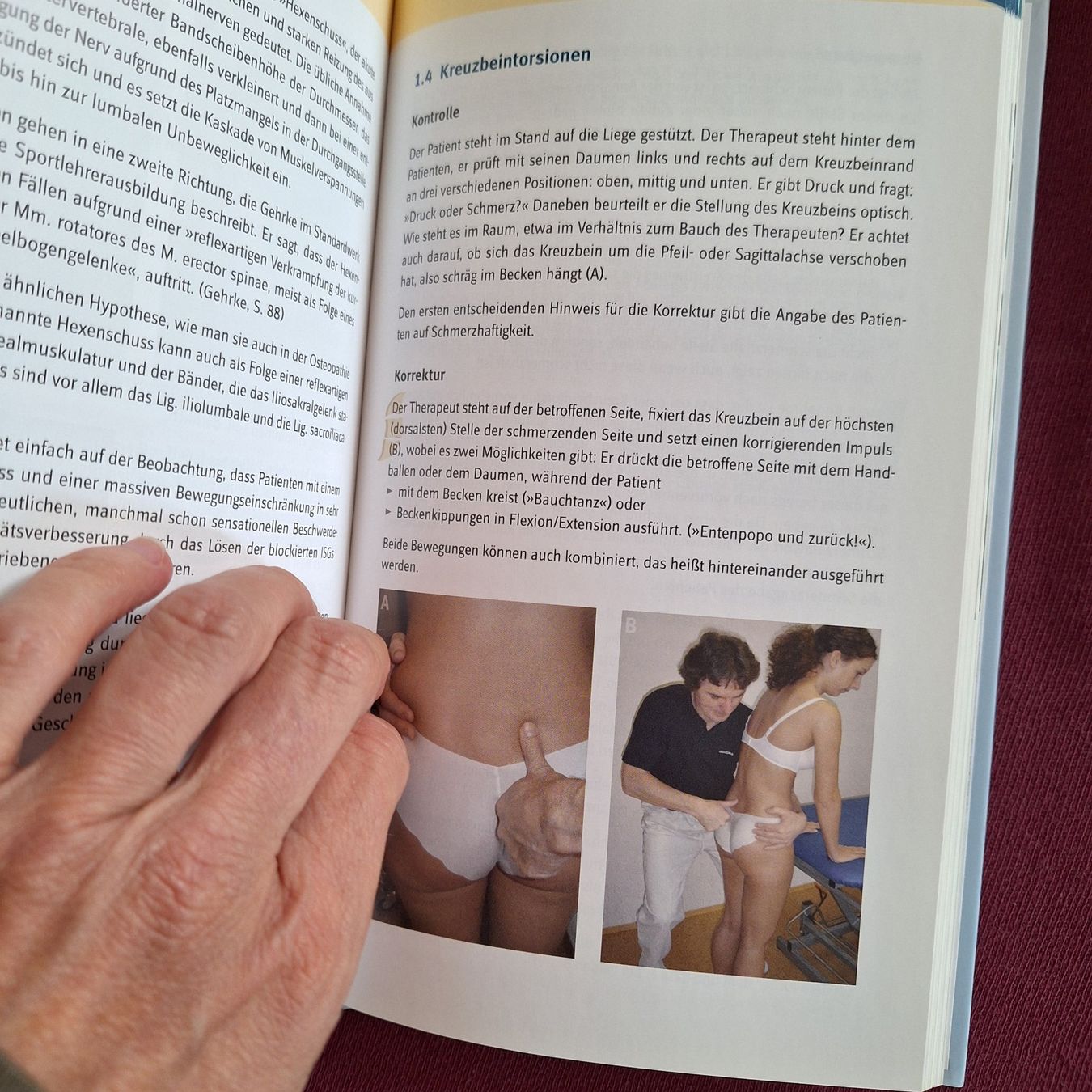 Libri: Osteobalance Leitfaden Dynamische Wirbelsäulentherapie – Usato da Hettenschwil venduto da Schneuggi2 2