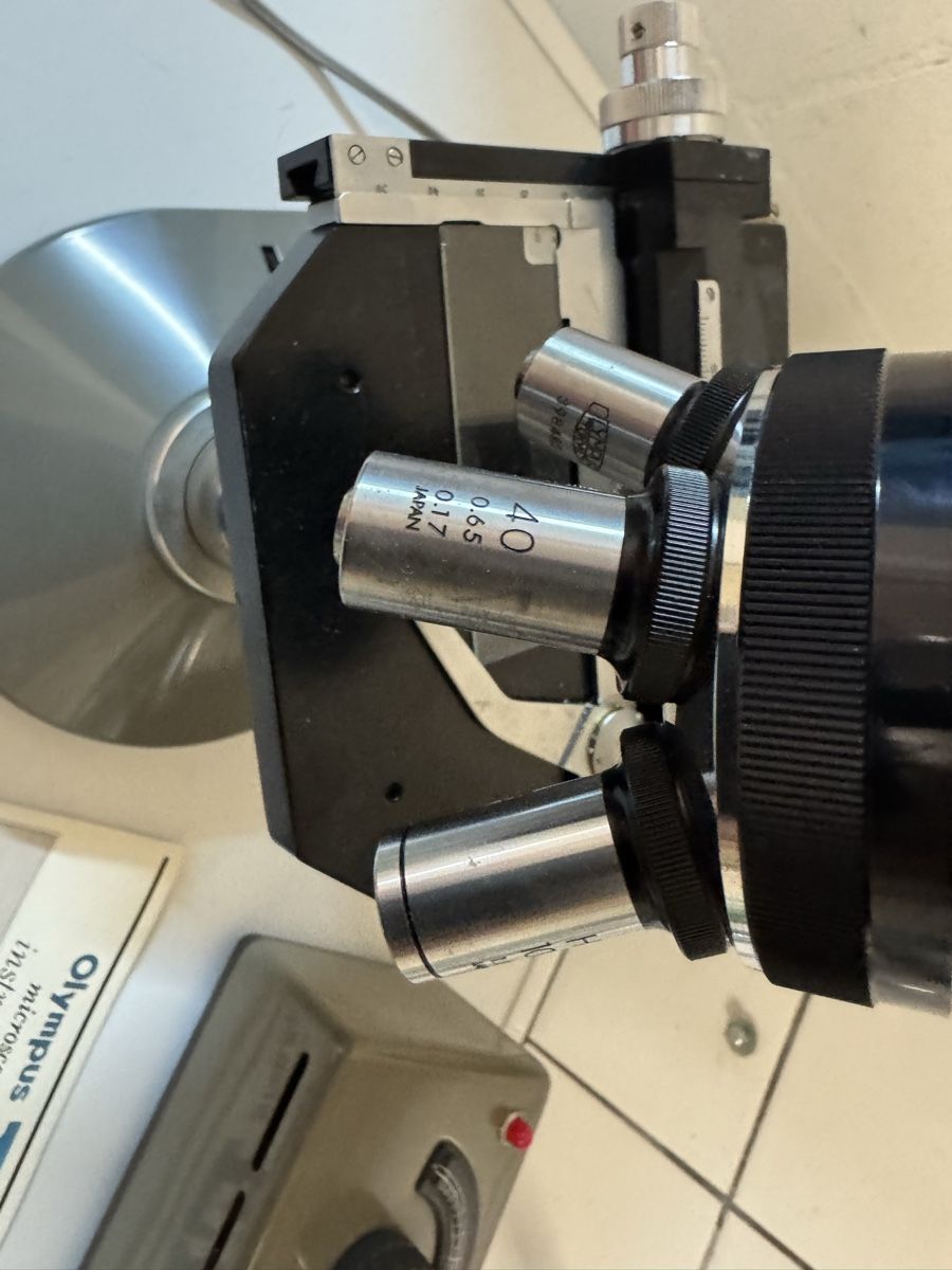 Olympus Microscopi: olympus eh mikroskop – Usato da Zunzgen venduto da milesdavis76 6