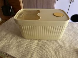Grosse Aufbewahrungsbox