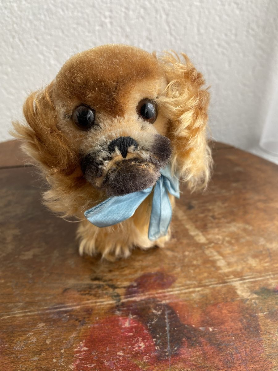 Steiff Giocattoli: Vintage Steiff, Hund, Stofftier – Usato da Zuchwil venduto da Niranada 2